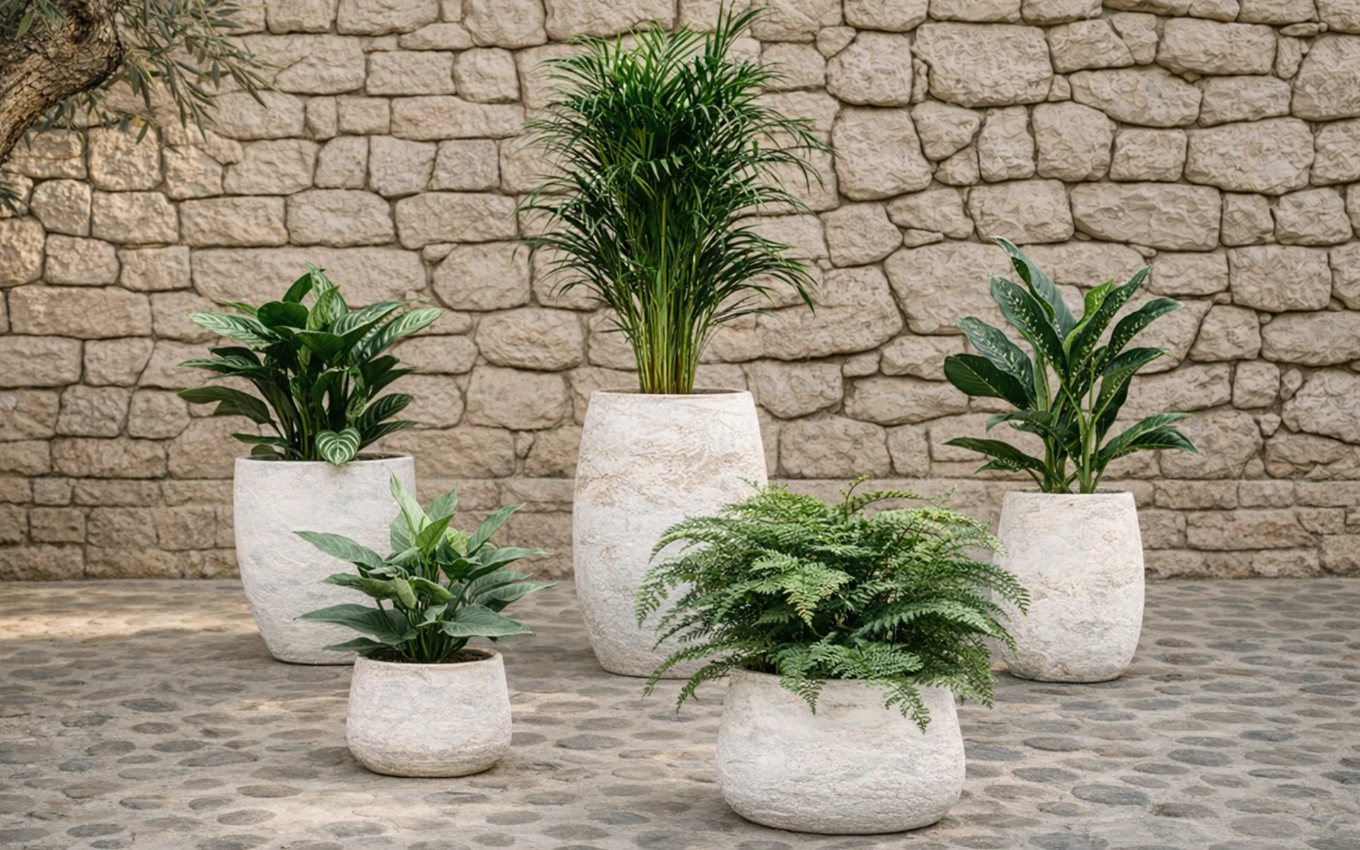 baq algar barrel collection
